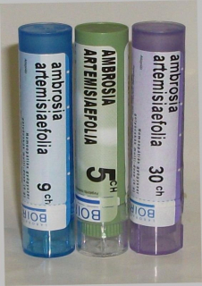 AMBROSIA ARTEMIS-K.jpg